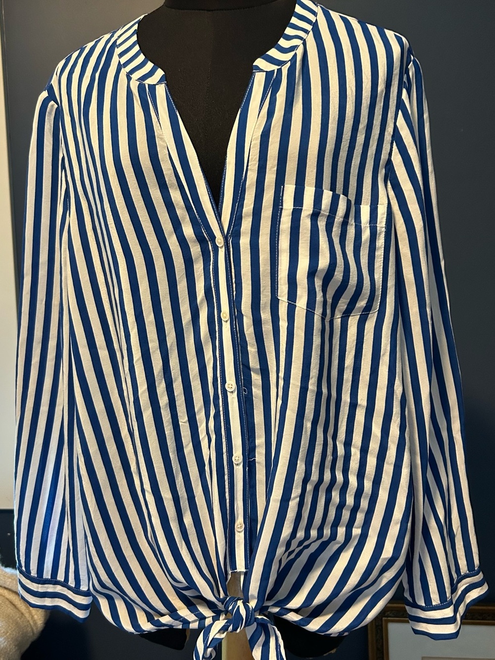 Joie Blue and White Striped Tie-Front Women’s Silk blouse